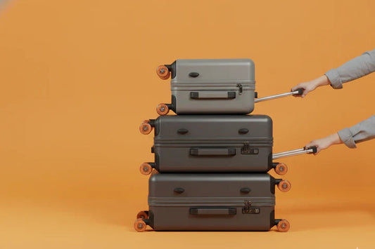 How to choose your Business Bag