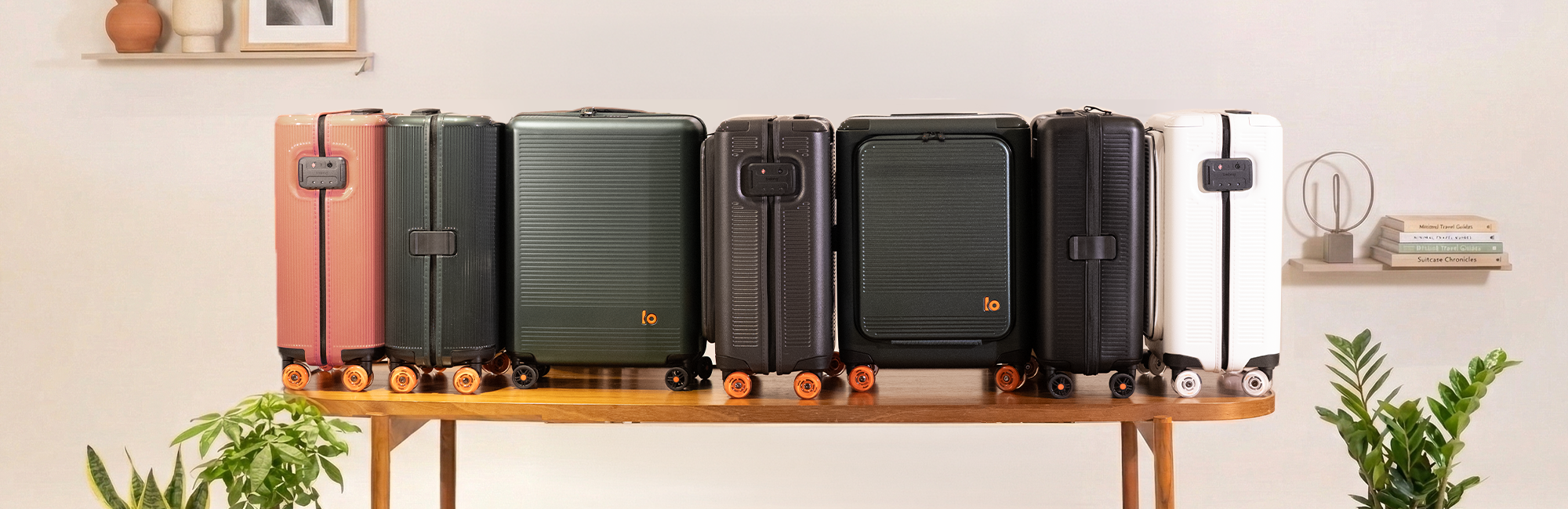 Luggage