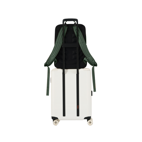 BELONG Forest Travel Combo Backpack + Pro Ivory